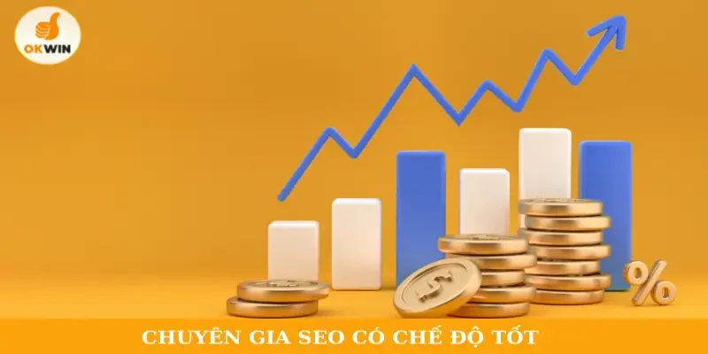 Chuyên gia SEO có chế độ tốt